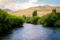 Calm river with trees