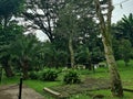Limbe Botanic Garden Royalty Free Stock Photo