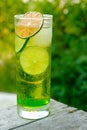 Green Lime alcohol drink cocktail with dried slice and ice Royalty Free Stock Photo