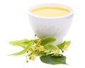 Lime blossom tea with fresh flowers on white background Royalty Free Stock Photo