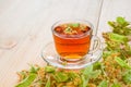 Lime blossom tea in a transparent cup on a wooden table Royalty Free Stock Photo