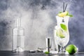 Lime caipirinha, classic Brazilian alcoholic cocktail with cane vodka cachasa, sugar syrup, lime juice and crushed ice in tall Royalty Free Stock Photo