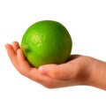 Lime in a child& x27;s hand isolated on a white or transparent background. Close-up of lime in hand, side view. Summer Royalty Free Stock Photo