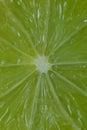 Macro image of the centre of a slice of lime