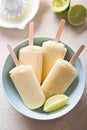 Lime coconut popsicle ice creams Royalty Free Stock Photo