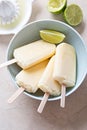 Lime coconut popsicle ice creams Royalty Free Stock Photo