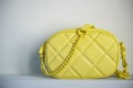 Lime cross body bag. Ladies bright-colored handbag on gray background. Yellow bag