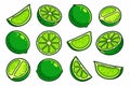 Lime Draw Illustrations Citrus Lime Doodle Royalty Free Stock Photo
