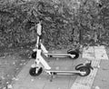 Lime electric kick scooter, black and white