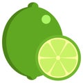 Lime fresh juicy citrus fruit icon, vector illustration