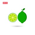 Lime fresh juicy fruit vector icon isolated