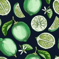Lime fruit background. Citrus fruit sketches. Watercolor style botanical design. Exotic plants seamless pattern. Hand-drawn vector Royalty Free Stock Photo
