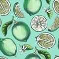 Lime fruit background. Citrus fruit sketches. Watercolor style botanical design. Exotic plants seamless pattern. Hand-drawn vector Royalty Free Stock Photo