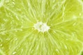 Lime fruit background Royalty Free Stock Photo