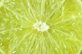 Lime fruit background