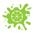 Lime fruit citrus, green splash. Vector illustration