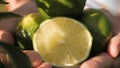 Lime fruit. Close-up shot of beautiful fresh lime in female palms on clear sunny day Royalty Free Stock Photo