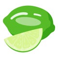 Lime fruit icon cartoon vector. Mulled wine
