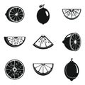 Lime fruit icons set, simple style Royalty Free Stock Photo