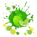 Lime Fruit Logo Watercolor Splash Design Fresh Natural Food Royalty Free Stock Photo