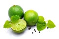 Lime fruit with melissa isolated on white Royalty Free Stock Photo