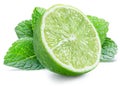 Lime fruit and mint leaves isolated on the white background Royalty Free Stock Photo