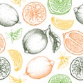 Lime fruit seamless pattern. Citrus fruit sketches in color. Botanical background. Exotic plants texture. Hand drawn vector Royalty Free Stock Photo