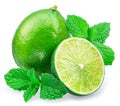 Lime fruit and lime slice with mint leaves isolated on white background Royalty Free Stock Photo