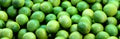 Lime fruits banner