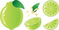 Lime fruits icon set Royalty Free Stock Photo