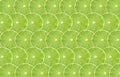 Lime fruits slice abstract seamless pattern background