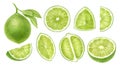 Lime fruits whole, half, slice, cut isolated on white background.Top view, side view exotic citrus. Halthy food digital Royalty Free Stock Photo