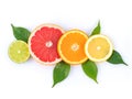 Lime, Grapefruit, Orange and Lemon slice with green leaf isolated on white background Royalty Free Stock Photo