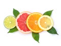 Lime, Grapefruit, Orange and Lemon slice with green leaf isolated on white background Royalty Free Stock Photo
