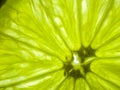 Lime green background Royalty Free Stock Photo