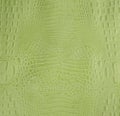 Lime Green Embossed Gator Back Leather Texture Royalty Free Stock Photo