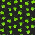 Lime with green leaves, citrus slice on black background. Seamless pattern tropical pattern Royalty Free Stock Photo