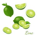 Lime with green leaves isolated on white background vector illustration Royalty Free Stock Photo