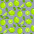 Lime with green leaves on striped background. Citrus seamless vector pattern. Royalty Free Stock Photo