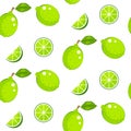 Lime with green leaves on white background. Citrus seamless vector pattern. Royalty Free Stock Photo