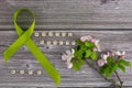 Lime green ribbon. Mental health awareness month concept mental health letters on old aged wooden background with Royalty Free Stock Photo