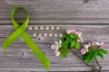 Lime green ribbon. Mental health awareness month concept mental health letters on old aged wooden background with Royalty Free Stock Photo