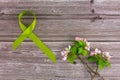 Lime green ribbon. Mental health awareness month concept mental health letters on old aged wooden background with Royalty Free Stock Photo