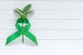 Lime Green Ribbon on white wooden background, world Mental health day. Royalty Free Stock Photo