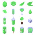 Lime icons set, isometric style