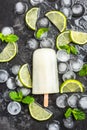 Lime juice homemade popsicle over ice Royalty Free Stock Photo