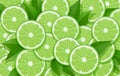 Lime and leaf. Citrus pattern.