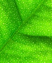 Lime Leaf Macro Royalty Free Stock Photo