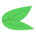 Lime leafs icon, isometric style