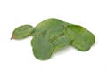 Lime leaves